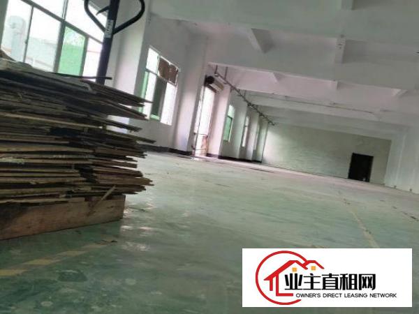  坪地鹤坑自然之家工业园厂房出租