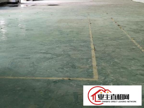  坪地鹤坑自然之家工业园厂房出租