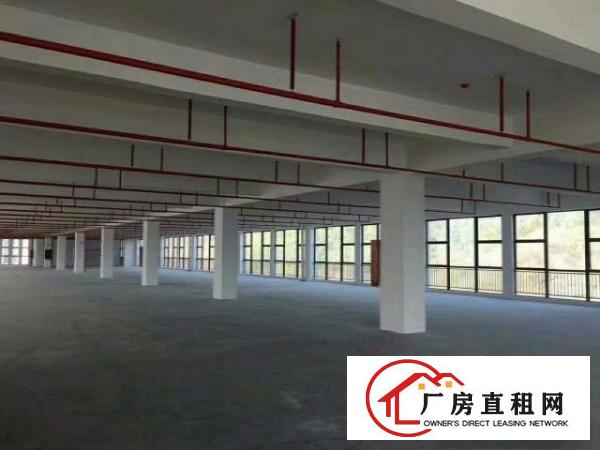  龙岗高新园区新空出红本高端产业园厂房大小出租