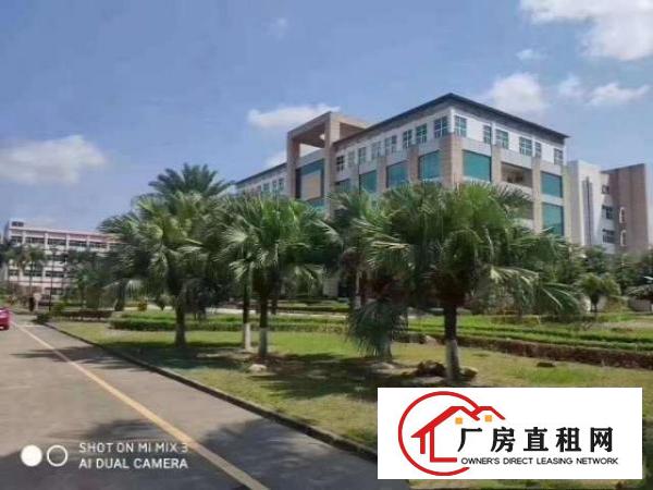  龙岗坪地花园式原房东厂房招租无公摊合同长欢迎高新行业进驻