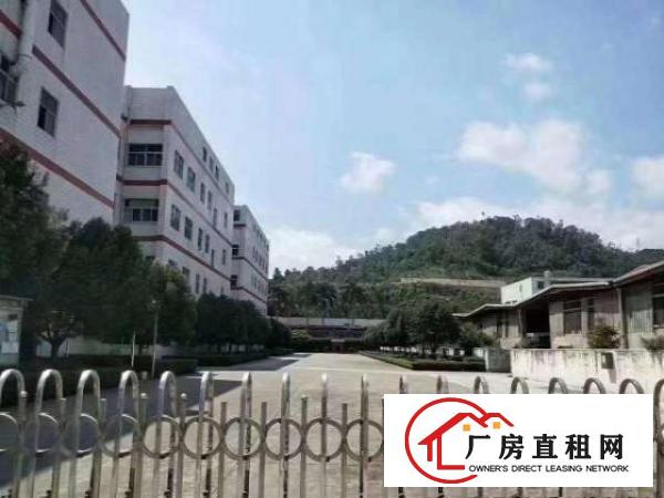  龙岗坪地花园式原房东厂房招租无公摊合同长欢迎高新行业进驻