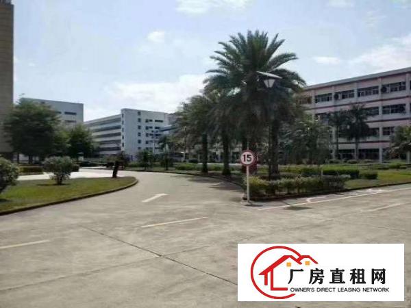  龙岗坪地花园式原房东厂房招租无公摊合同长欢迎高新行业进驻