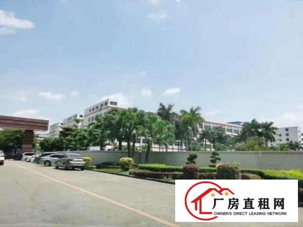  龙岗坪地花园式原房东厂房招租无公摊合同长欢迎高新行业进驻