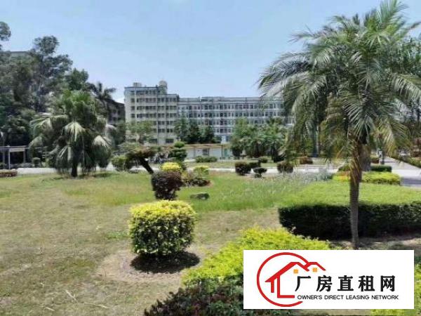  龙岗坪地花园式原房东厂房招租无公摊合同长欢迎高新行业进驻