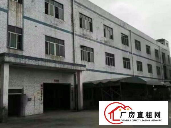  龙岗坪地北通道或龙岗大道钢构厂房1500平出租