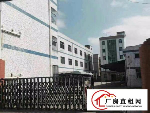  龙岗坪地北通道或龙岗大道钢构厂房1500平出租