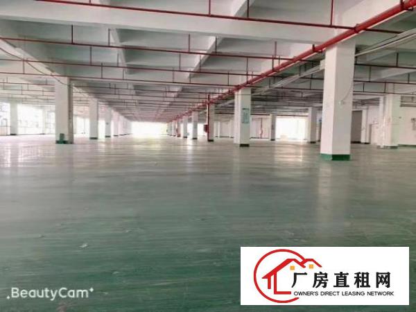  出租龙岗坪地花园式厂房环境优雅价格便宜大小分租