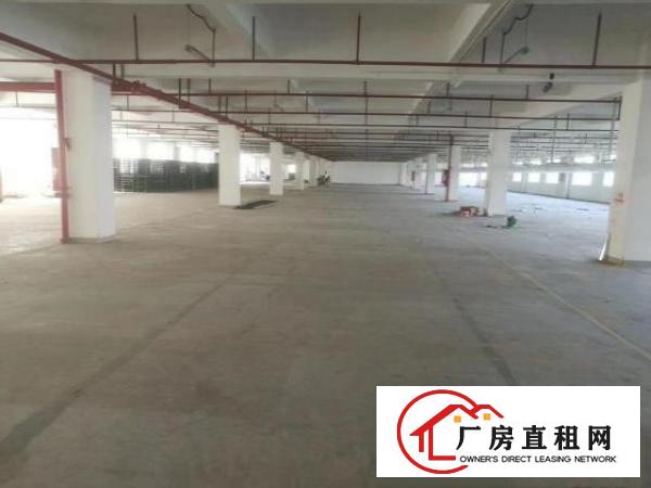 出租龙岗区坪地六联原房东标准厂房没有公摊租金便宜