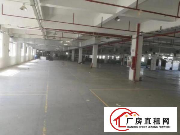  出租龙岗区坪地六联原房东标准厂房没有公摊租金便宜