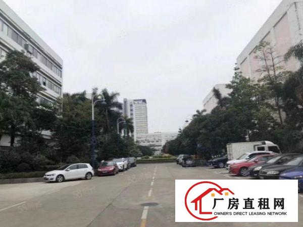  龙岗坪地独院厂房1000平出租可分租近高速原房东红本交通方便
