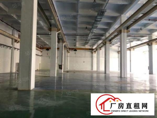  龙岗坪地独院厂房1000平出租可分租近高速原房东红本交通方便
