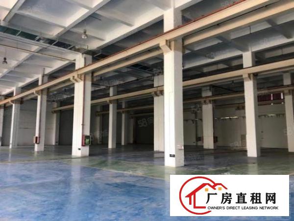  龙岗坪地独院厂房1000平出租可分租近高速原房东红本交通方便