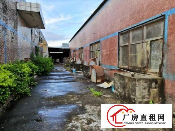  红本钢构厂房独院可分租独栋1000m2