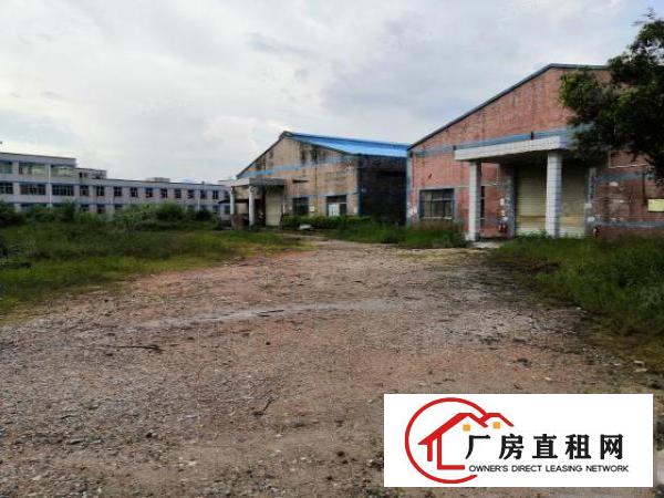  红本钢构厂房独院可分租独栋1000m2