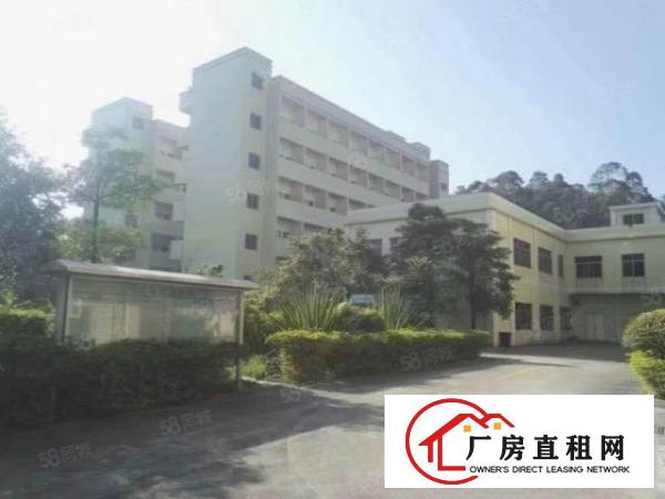  龙岗坪地20000平厂房低价出租，单层面积4000平可分租。