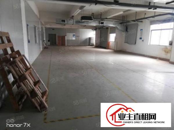  大型工业园区新出厂房独门独院25元平业主直租