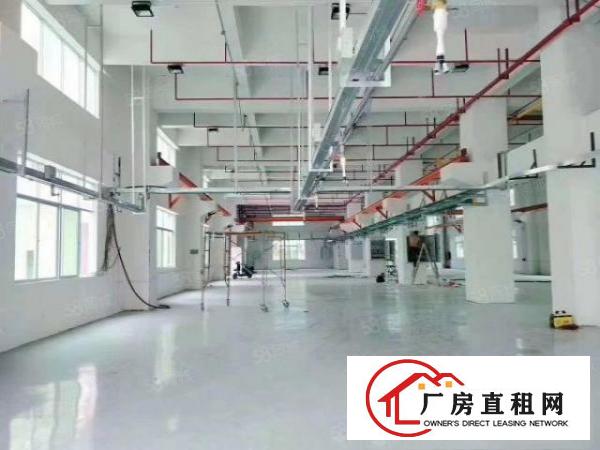  厂房龙岗坪地2000平一楼标准厂房，层高6.5米，带消防喷淋