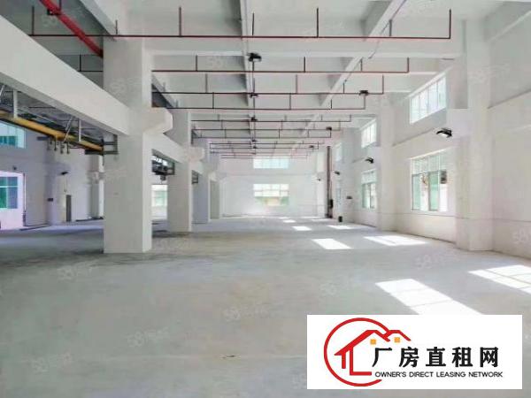  厂房龙岗坪地2000平一楼标准厂房，层高6.5米，带消防喷淋