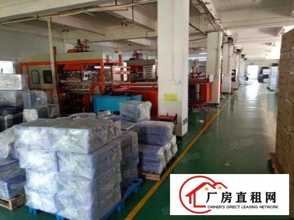  坪地坪东房东红本独门独院厂房三层3000平方出租大小可分租