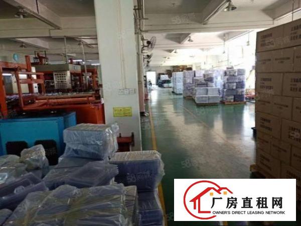  坪地坪东房东红本独门独院厂房三层3000平方出租大小可分租