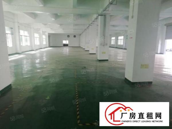  龙岗坪地新出原房东一楼1500平标准厂房出租有红本全新地坪漆