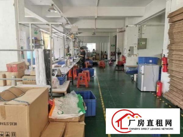  龙岗坪西外国语学校边二楼300平方红本厂房出租便宜有装修