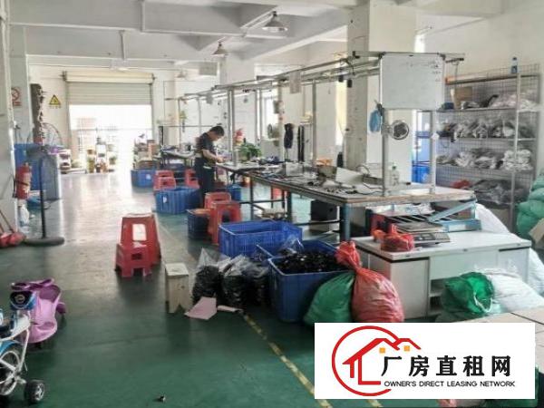  龙岗坪西外国语学校边二楼300平方红本厂房出租便宜有装修
