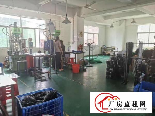  龙岗坪西外国语学校边二楼300平方红本厂房出租便宜有装修