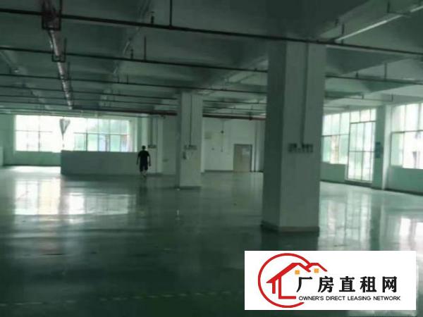  龙岗坪地原房东独院红本5600平空地大形象好龙岗大道旁