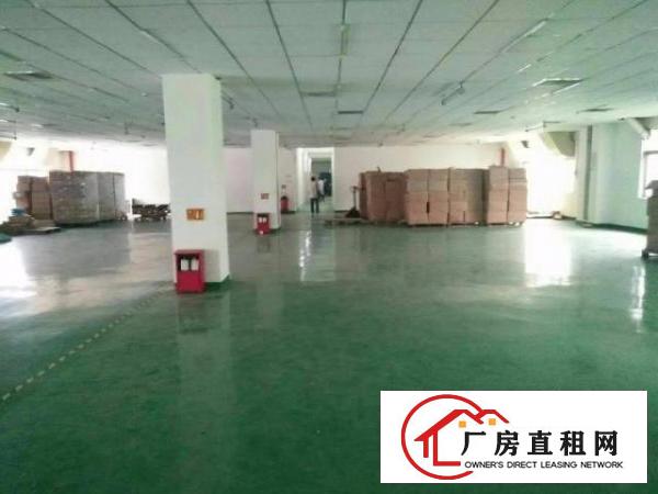  龙岗坪地原房东独院红本5600平空地大形象好龙岗大道旁