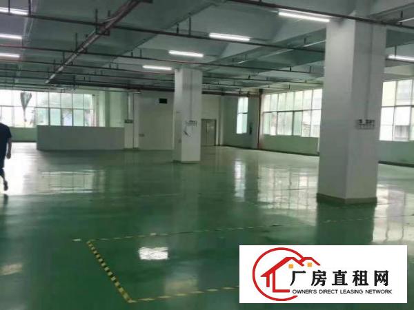  龙岗坪地原房东独院红本5600平空地大形象好龙岗大道旁
