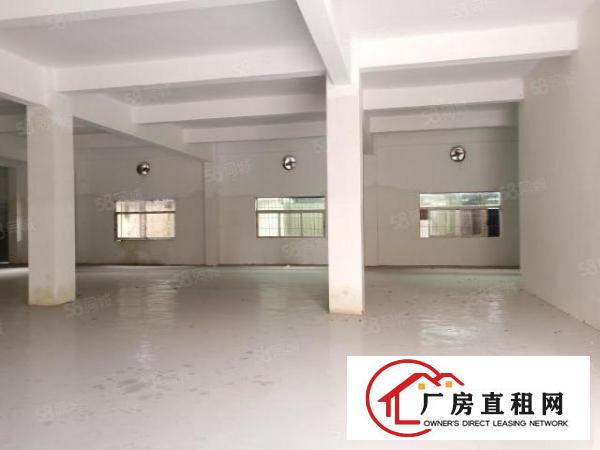  房东直租，独门独院，配电315kw，带宿舍