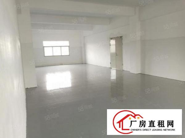  房东直租，独门独院，配电315kw，带宿舍