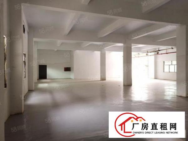  房东直租，独门独院，配电315kw，带宿舍