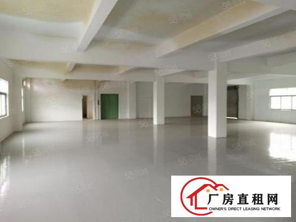  房东直租，独门独院，配电315kw，带宿舍
