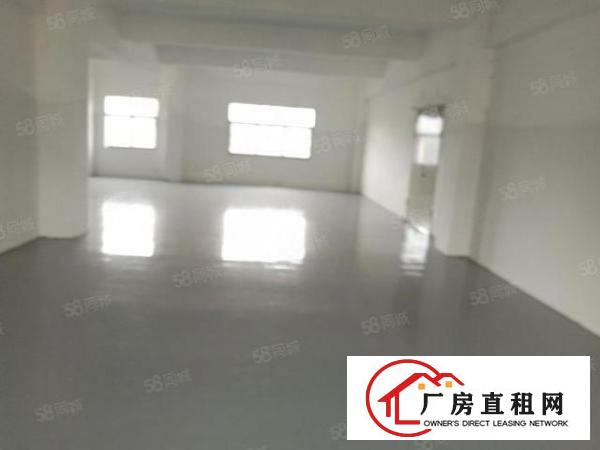  房东直租，独门独院，配电315kw，带宿舍