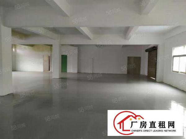  房东直租，独门独院，配电315kw，带宿舍