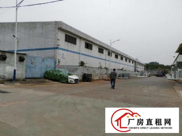  坪地新出一楼独院钢构厂房层高7米有消防可做加工高速近空地大