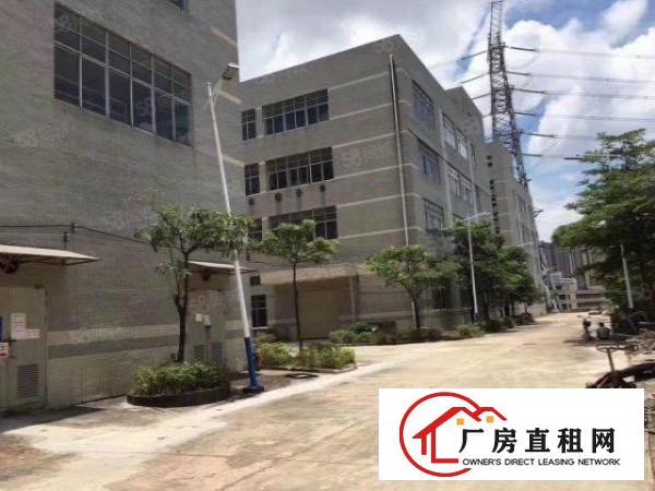  龙岗坪地低碳城18元厂房招租一楼1800m2二楼3600