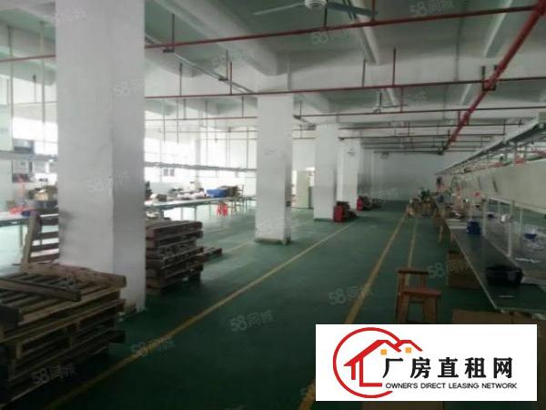  龙岗坪地低碳城18元厂房招租一楼1800m2二楼3600