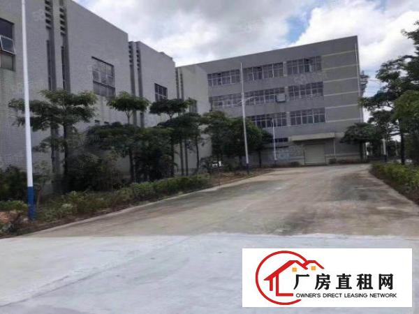  龙岗坪地低碳城18元厂房招租一楼1800m2二楼3600