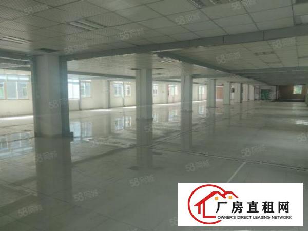  房东直租，园区配套完善，有免费直达班车，价格可谈