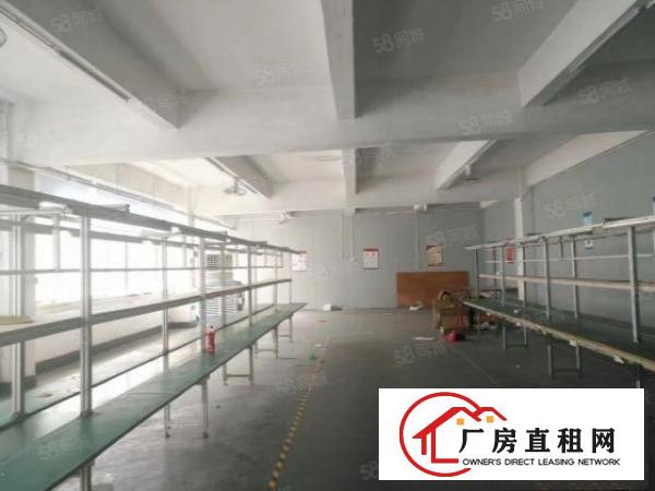  龙岗坪地坪西新出520平楼上厂房带装修