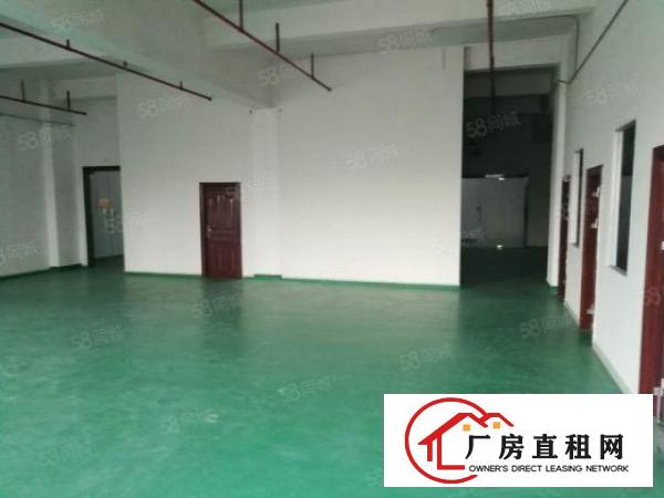  精装修水电齐全！坪地坪西北通道边新空1000平原房东厂房出租