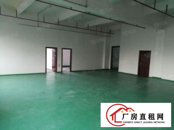  精装修水电齐全！坪地坪西北通道边新空1000平原房东厂房出租