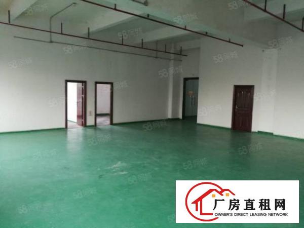  精装修水电齐全！坪地坪西北通道边新空1000平原房东厂房出租
