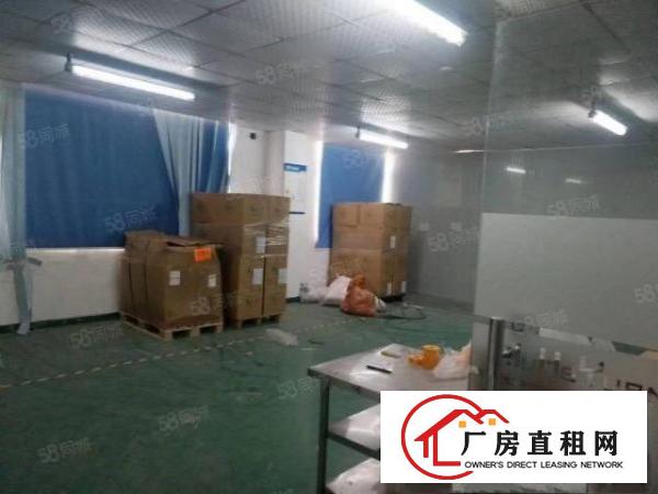  精装修水电齐全！坪地坪西北通道边新空1000平原房东厂房出租