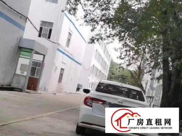  龙岗坪西独栋3100平无公摊出租现已翻新