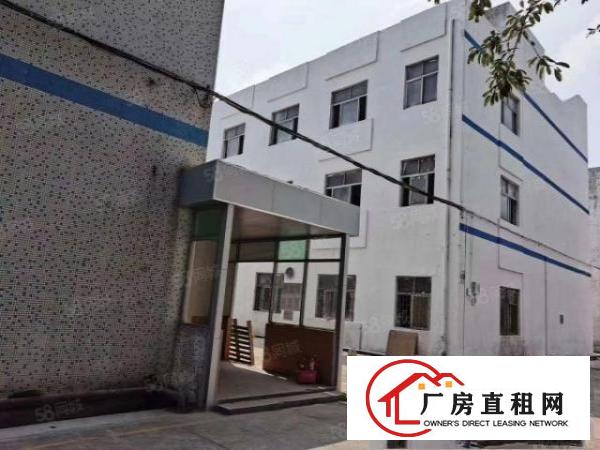  龙岗坪西独栋3100平无公摊出租现已翻新