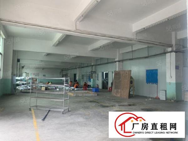  龙岗坪地北通道边独门独院厂房5040出租可分租
